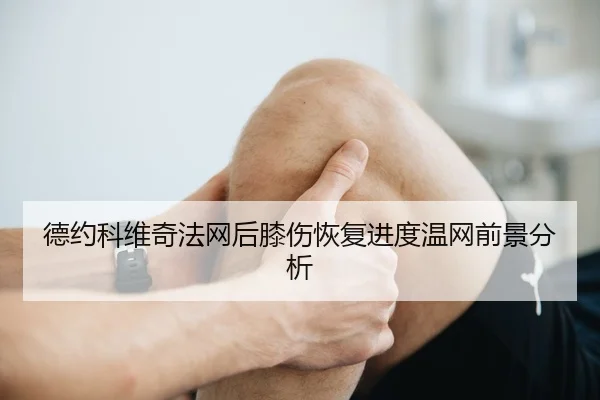 de-yue-ke-wei-qi-fa-wang-hou-xi-shang-hui-fu-jin-du-wen-wang-qian-jing-fen-xi-3-504.jpg